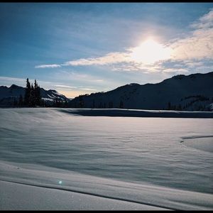 Meet your Posher, Phebe